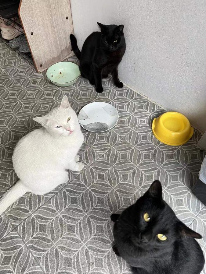 チエンマイFloat'S Houseアパートメント エクステリア 写真